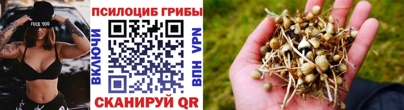 Галлюциногенные грибы ЛСД  Купить где  Шадринск 